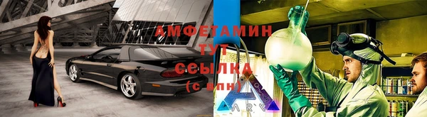 амф Арсеньев